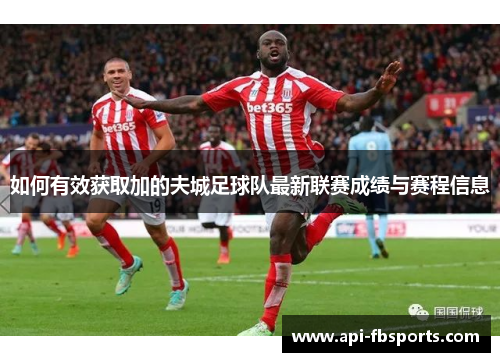 如何有效获取加的夫城足球队最新联赛成绩与赛程信息 如何有效获取加的夫城足球队最新联赛成绩与赛程信息